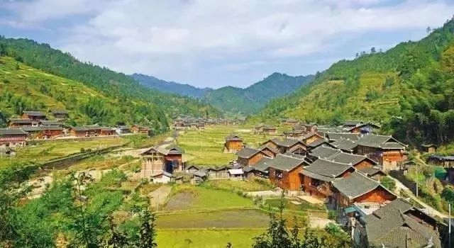 田園農業游以大田農業為重點 田園農業游以大田農業為重點