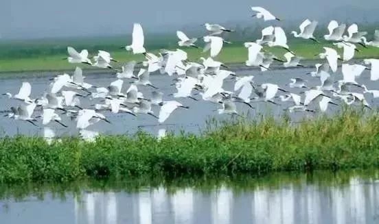 回歸自然旅游模式 回歸自然旅游模式