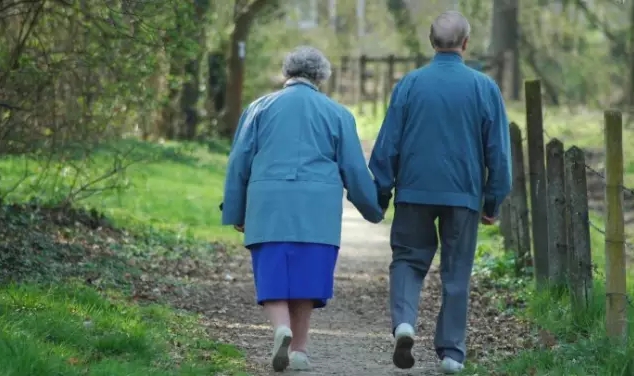 中國老年旅游市場分析報告