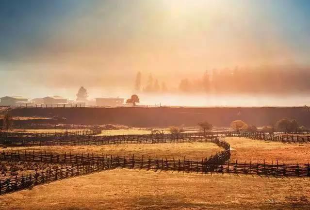 未來智慧旅游景區會如何發展？